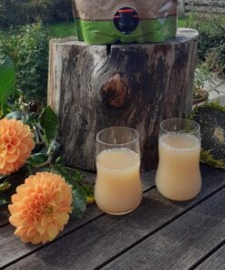 Køb Æblemost - 3 liter online billigt møbel