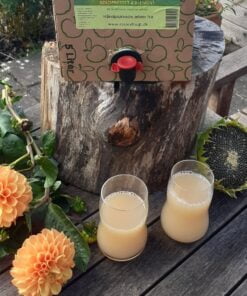 Køb Æblemost - 5 liter online billigt møbel