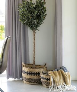 Køb Tebas -  Kurvesæt af søgræs med håndtag online billigt møbel