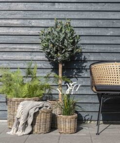 Køb Bromo - Kurvesæt med fire kurve i natur rattan online billigt møbel