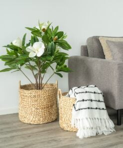 Køb Posso - Kurvesæt i vandhyacinth