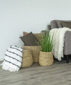 Køb Vento -  Kurvesæt med 3 kurve i søgræs online billigt møbel