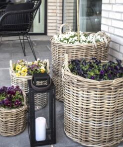 Køb Bromo - Kurvesæt i ratan