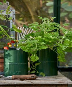 Køb Maceta - Urtepotte i olivengrøn metal