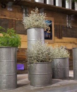 Køb Maceta - Urtepotte i galvaniseret metal