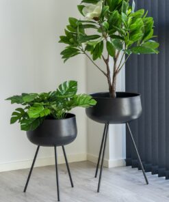Køb Jinx -  Blomsterstander sæt i sort metal online billigt møbel