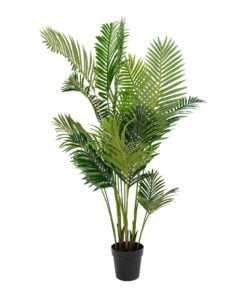 Køb Areca palme 175 cm høj online billigt møbel