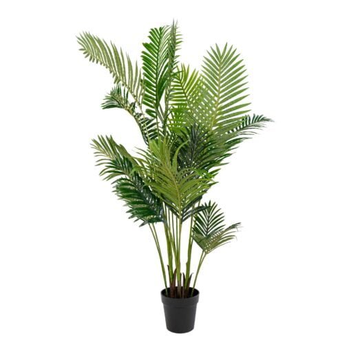 Køb Areca palme 175 cm høj online billigt møbel