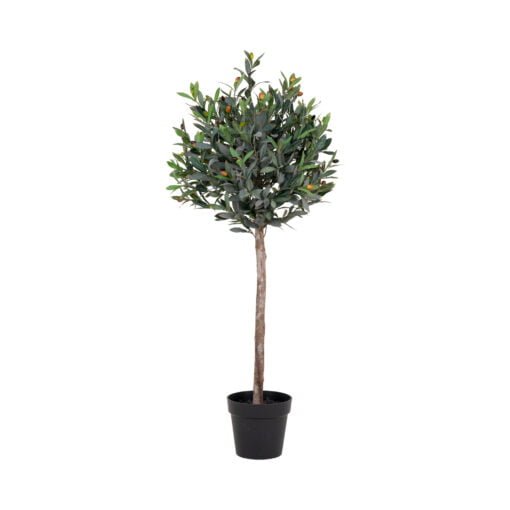 Køb Oliventræ 120 cm online billigt møbel