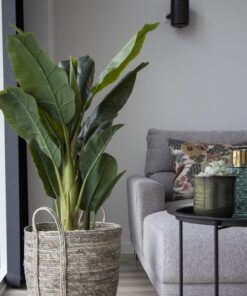 Køb Banan palme - Kunstig plante