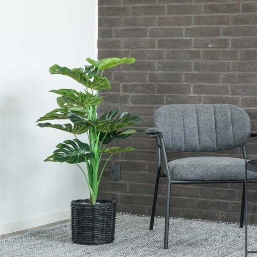 Køb Monstera - Kunstig plante