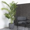 Køb Areca palme - Kunstig plante