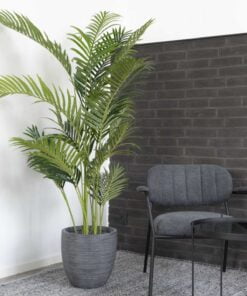 Køb Areca palme - Kunstig plante