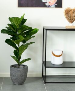 Køb Violinfigen træ - Kunstig plante