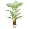 Køb Areca palme 140 cm med 15 palmeblade online billigt møbel