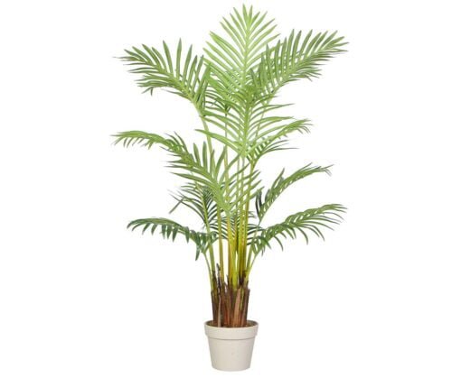 Køb Areca palme 140 cm med 15 palmeblade online billigt møbel