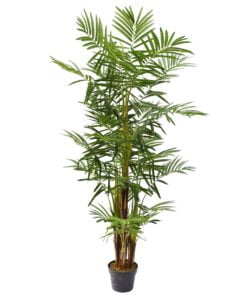 Køb Areca palme 160 cm med 25 palmeblade - flerstammet online billigt møbel