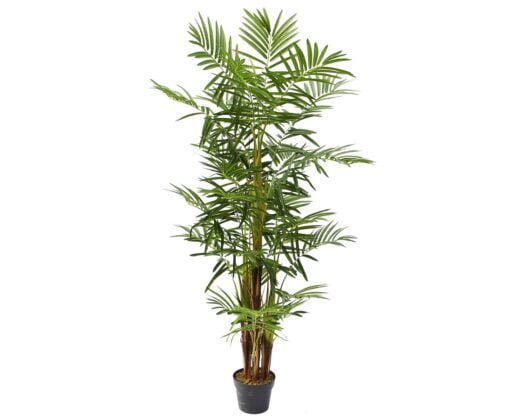 Køb Areca palme 160 cm med 25 palmeblade - flerstammet online billigt møbel