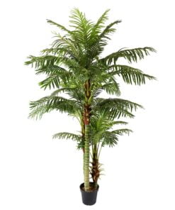 Køb Areca palme 235 cm med 45 palmeblade online billigt møbel