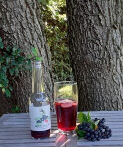 Køb Drikkeklar saft - Aroniabær online billigt møbel