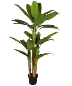Køb Bananpalme 190 cm med 28 blade online billigt møbel