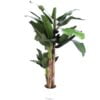 Køb Bananpalme 280 cm med 30 blade online billigt møbel