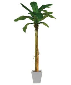 Køb Bananpalme 270 cm med 13 blade online billigt møbel