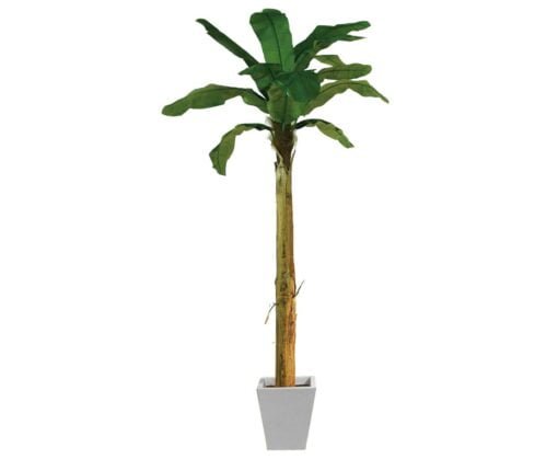Køb Bananpalme 270 cm med 13 blade online billigt møbel