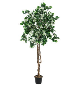Køb Bougainvillea kunsttræ 180 cm med hvide blomster online billigt møbel