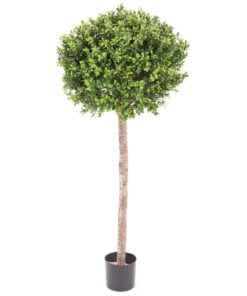 Køb Buksbum kugleform 120 cm høj Ø40 online billigt møbel