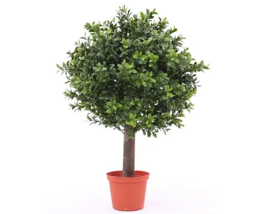 Køb Buksbum kugleform 45 cm høj Ø30 (396 blade) online billigt møbel