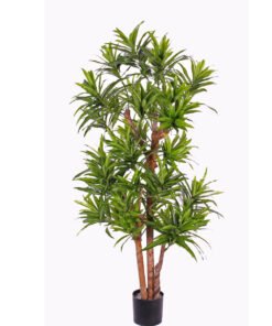 Køb Dracena palme 120 cm med 846 blade online billigt møbel
