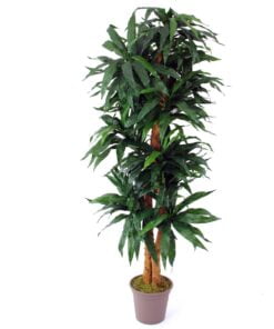 Køb Dracena palme 200 cm med 368 blade online billigt møbel