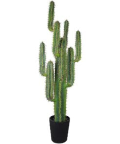 Køb Kaktus 147 cm med 11 arme online billigt møbel