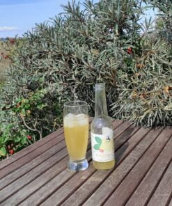 Køb Drikkeklar saft - Hyldeblomst med havtorn online billigt møbel