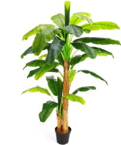 Køb Bananpalme 220 cm med 33 blade online billigt møbel