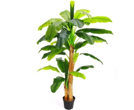 Køb Bananpalme 220 cm med 33 blade online billigt møbel