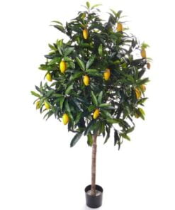 Køb Mangotræ 210 cm med 1.056 blade og 27 frugter online billigt møbel