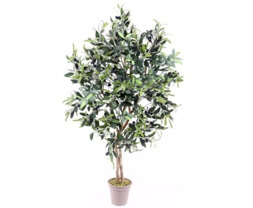 Køb Oliventræ 100 cm (640 blade) online billigt møbel