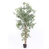 Køb Ficus Benjamini 150 cm (840 blade) online billigt møbel