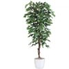 Køb Ficus Benjamini 200 cm (2.064 blade) online billigt møbel