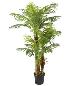 Køb Areca palme 180 cm med 30 palmeblade online billigt møbel