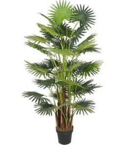 Køb Areca palme 160 cm med 41 palmeblade online billigt møbel