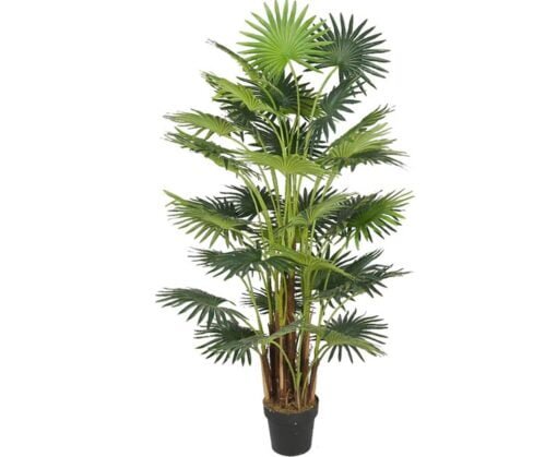 Køb Areca palme 160 cm med 41 palmeblade online billigt møbel