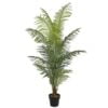 Køb Areca palme 200 cm med 14 palmeblade online billigt møbel