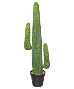 Køb Kaktus 125 cm med 2 arme online billigt møbel