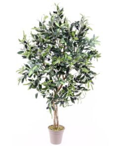 Køb Oliventræ 125 cm (960 blade) online billigt møbel