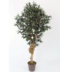 Køb Oliventræ 200 cm med tyk stamme (3.456 blade) online billigt møbel