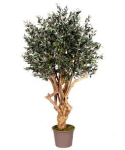 Køb Oliventræ 200 cm (6.936 blade) online billigt møbel