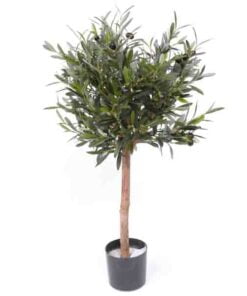 Køb Oliventræ 75 cm (1.040 blade) online billigt møbel
